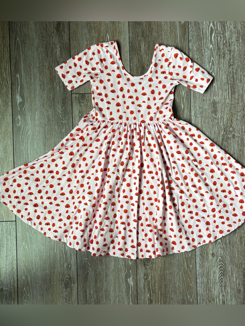 Alice + Ames Lady Bug Ballet Dress